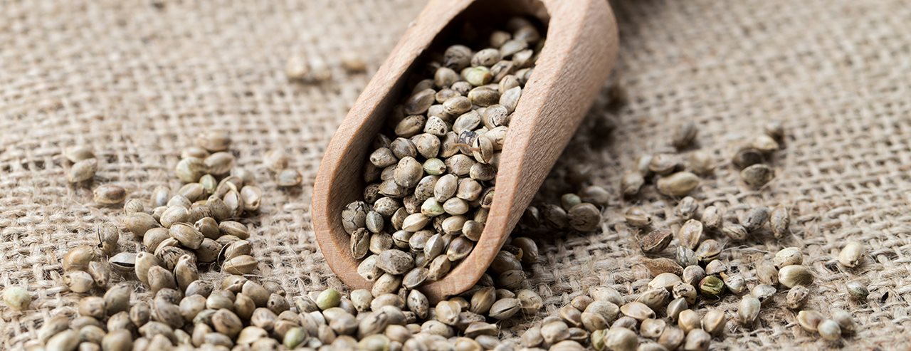  5 razlogov, zakaj so konopljina semena odlična v mueslijih 