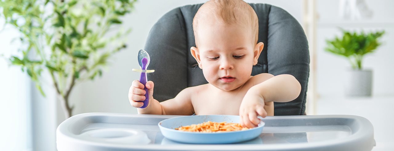 Uvajanje goste hrane brez stresa: Odgovori na najpomembnejša vprašanja