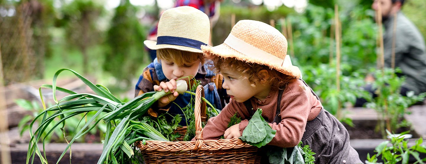 Sedem idej za vrtnarjenje z otroki