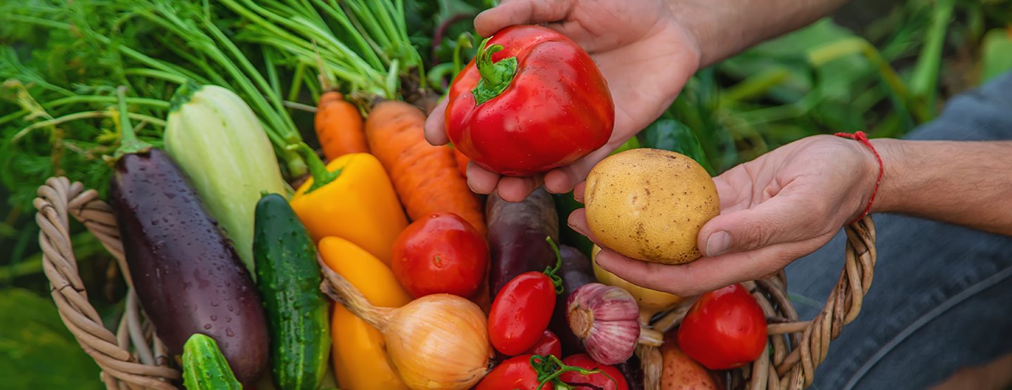 Ekološka pridelava v polnem razcvetu 