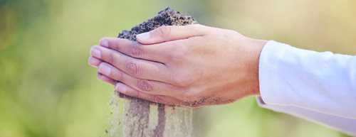 Dragocena zrnca: Kakšne posledice ima pohlep po pesku za okolje
