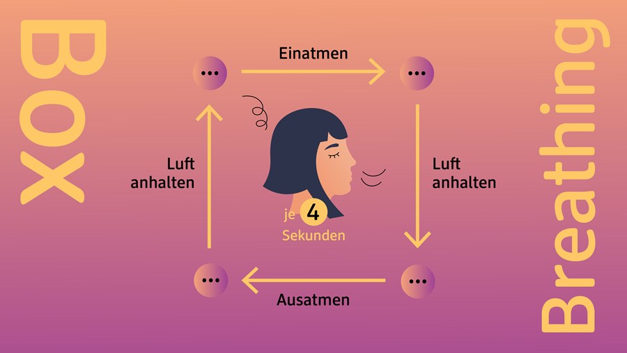 dm Slovenija Active Beauty