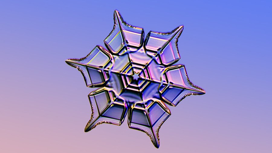 dm Slovenija Active Beauty