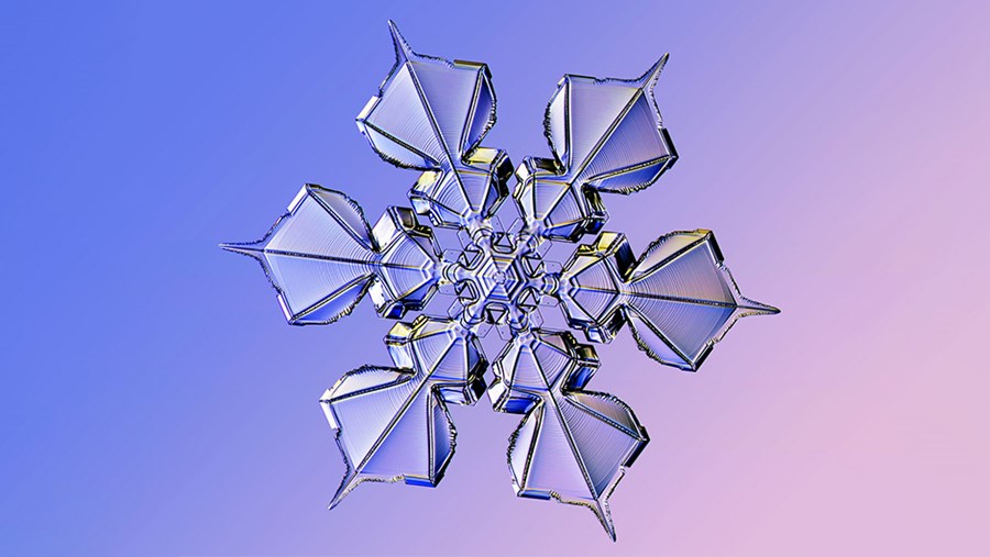 dm Slovenija Active Beauty