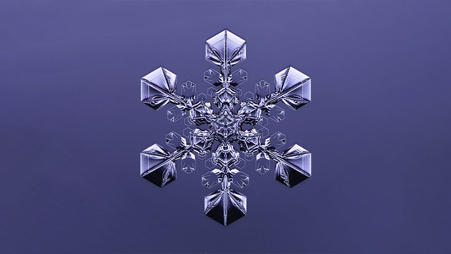 dm Slovenija Active Beauty