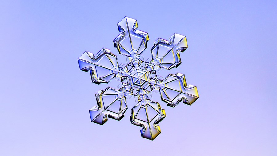 dm Slovenija Active Beauty