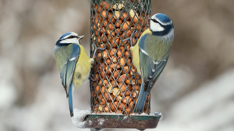 dm Slovenija Active Beauty