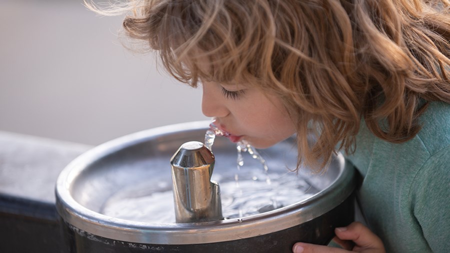 dm Slovenija Active Beauty