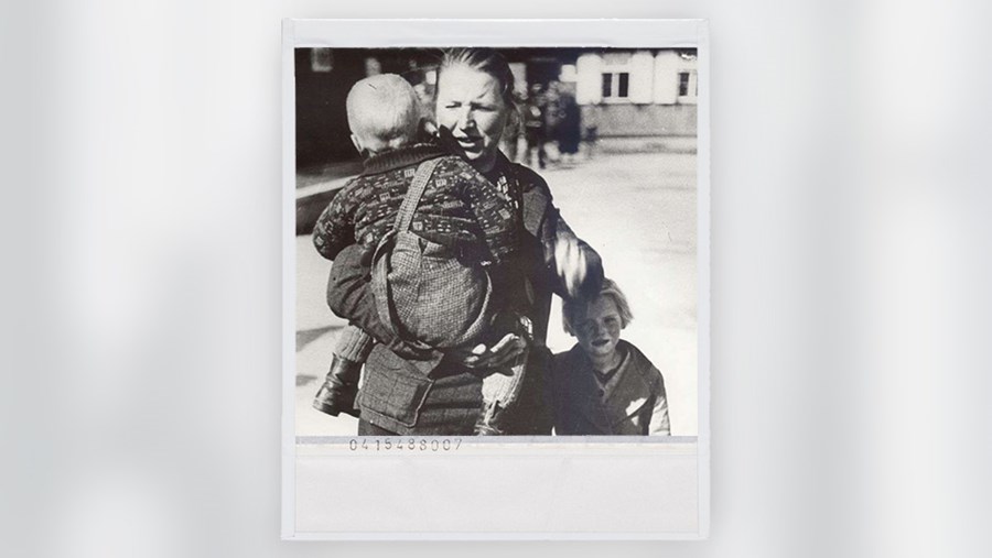 dm Slovenija Active Beauty