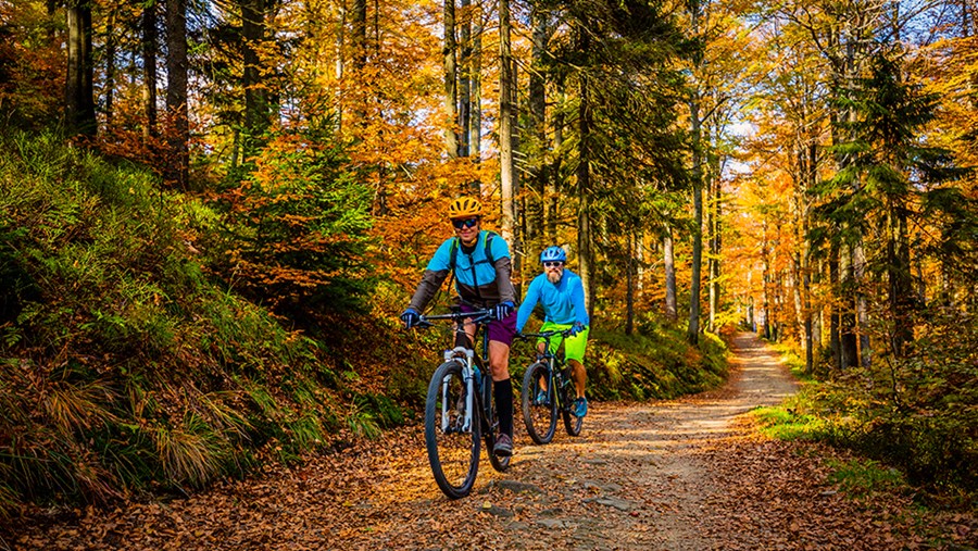 dm Slovenija Active Beauty