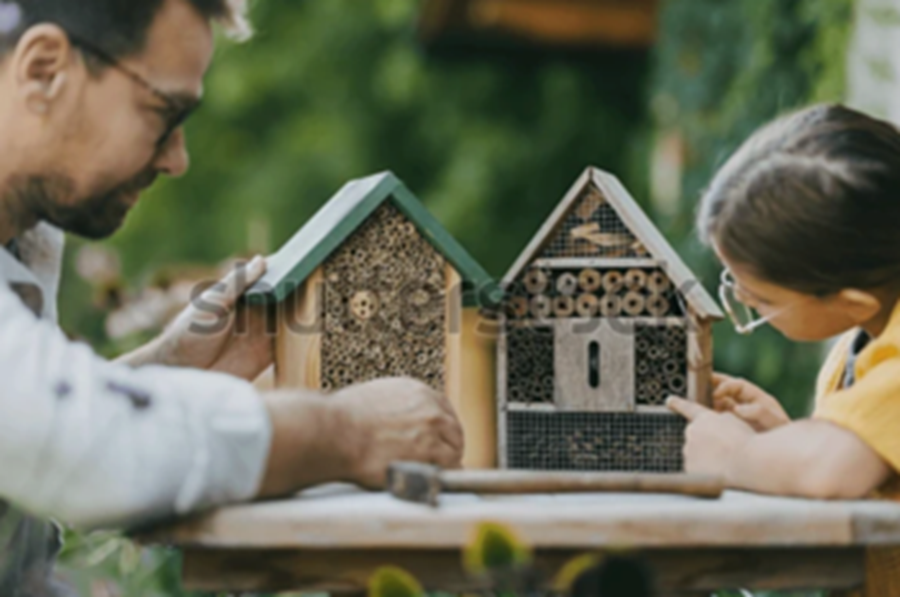 dm Slovenija Active Beauty